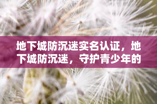 地下城防沉迷实名认证,地下城防沉迷,守护青少年的游戏时光 地下城防沉迷实名认证,地下城防沉迷,守护青少年的游戏时光