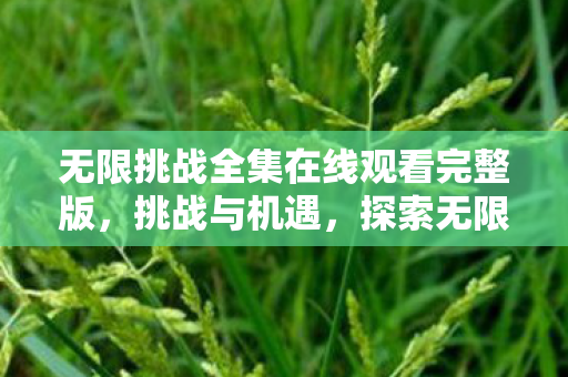 无限挑战全集在线观看完整版,挑战与机遇,探索无限挑战111015的深层含义 无限挑战全集在线观看完整版,挑战与机遇,探索无限挑战111015的深层含义
