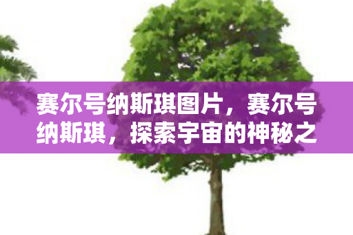 赛尔号纳斯琪图片,赛尔号纳斯琪,探索宇宙的神秘之旅 赛尔号纳斯琪图片,赛尔号纳斯琪,探索宇宙的神秘之旅