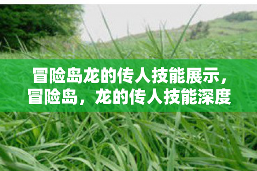 冒险岛龙的传人技能展示,冒险岛,龙的传人技能深度解析 冒险岛龙的传人技能展示,冒险岛,龙的传人技能深度解析
