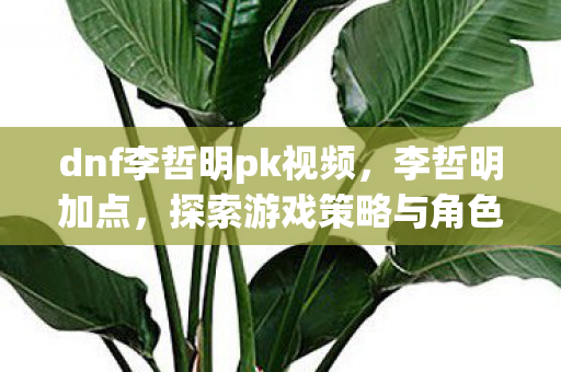 dnf李哲明pk视频,李哲明加点,探索游戏策略与角色发展的深度解析 dnf李哲明pk视频,李哲明加点,探索游戏策略与角色发展的深度解析