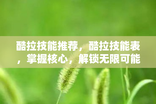 酷拉技能推荐,酷拉技能表,掌握核心,解锁无限可能 酷拉技能推荐,酷拉技能表,掌握核心,解锁无限可能