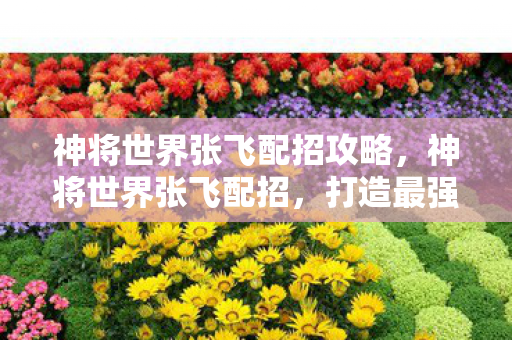 神将世界张飞配招攻略，神将世界张飞配招，打造最强战力的策略指南