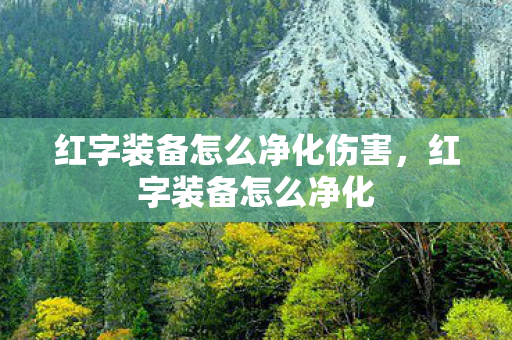 红字装备怎么净化伤害,红字装备怎么净化 红字装备怎么净化伤害,红字装备怎么净化