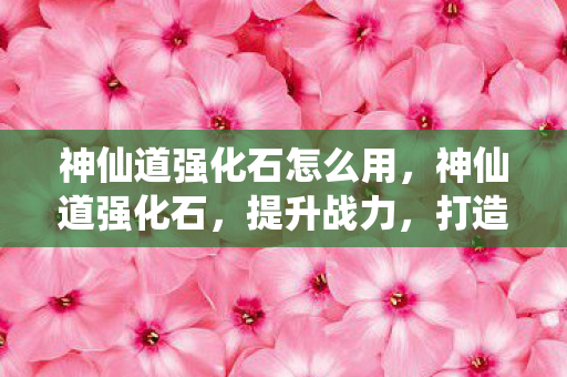 神仙道强化石怎么用，神仙道强化石，提升战力，打造无敌角色