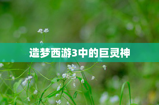 造梦西游3中的巨灵神 造梦西游3中的巨灵神