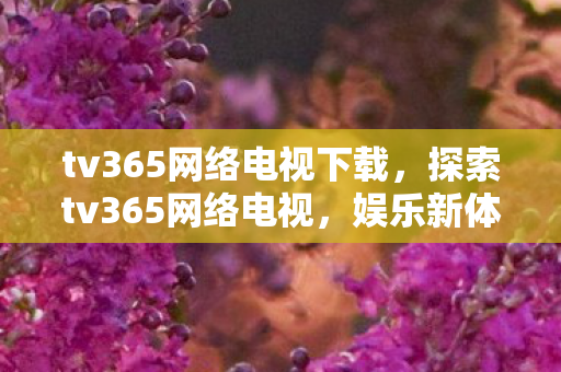 tv365网络电视下载,探索tv365网络电视,娱乐新体验与数字生活的融合 tv365网络电视下载,探索tv365网络电视,娱乐新体验与数字生活的融合