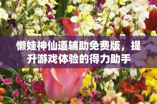 懒娃神仙道辅助免费版，提升游戏体验的得力助手