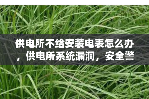 供电所不给安装电表怎么办，供电所系统漏洞，安全警钟长鸣，保障电力供应稳定