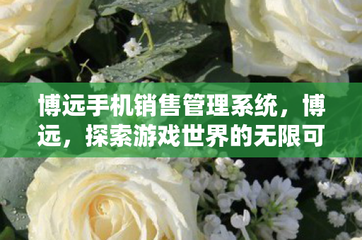 博远手机销售管理系统，博远，探索游戏世界的无限可能