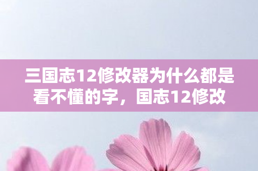 三国志12修改器为什么都是看不懂的字,国志12修改器,策略游戏中的创意工具 三国志12修改器为什么都是看不懂的字,国志12修改器,策略游戏中的创意工具