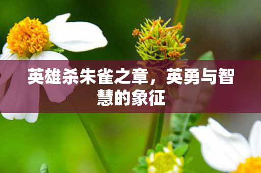 英雄杀朱雀之章,英勇与智慧的象征 英雄杀朱雀之章,英勇与智慧的象征