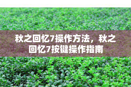 秋之回忆7操作方法，秋之回忆7按键操作指南