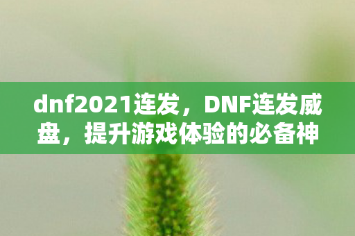 dnf2021连发,DNF连发威盘,提升游戏体验的必备神器 dnf2021连发,DNF连发威盘,提升游戏体验的必备神器