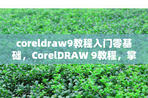 coreldraw9教程入门零基础,CorelDRAW 9教程,掌握矢量图形设计精髓 coreldraw9教程入门零基础,CorelDRAW 9教程,掌握矢量图形设计精髓