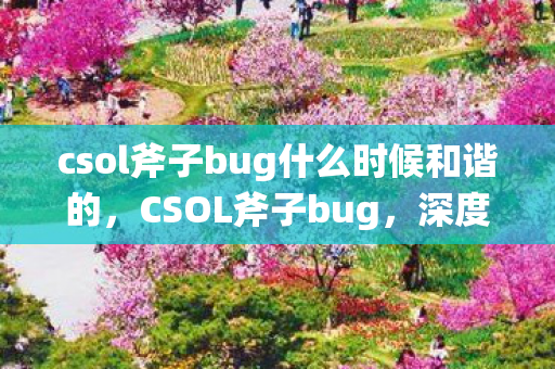 csol斧子bug什么时候和谐的,CSOL斧子bug,深度解析与影响 csol斧子bug什么时候和谐的,CSOL斧子bug,深度解析与影响