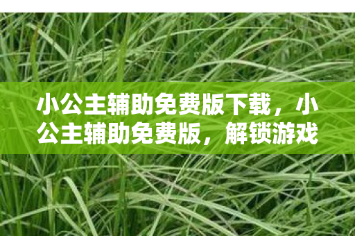 小公主辅助免费版下载,小公主辅助免费版,解锁游戏乐趣的神奇钥匙 小公主辅助免费版下载,小公主辅助免费版,解锁游戏乐趣的神奇钥匙