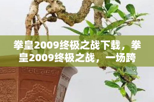 拳皇2009终极之战下载,拳皇2009终极之战,一场跨越时空的格斗盛宴 拳皇2009终极之战下载,拳皇2009终极之战,一场跨越时空的格斗盛宴