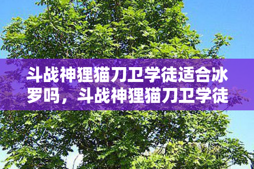 斗战神狸猫刀卫学徒适合冰罗吗,斗战神狸猫刀卫学徒,探索游戏世界的隐秘学徒之路 斗战神狸猫刀卫学徒适合冰罗吗,斗战神狸猫刀卫学徒,探索游戏世界的隐秘学徒之路