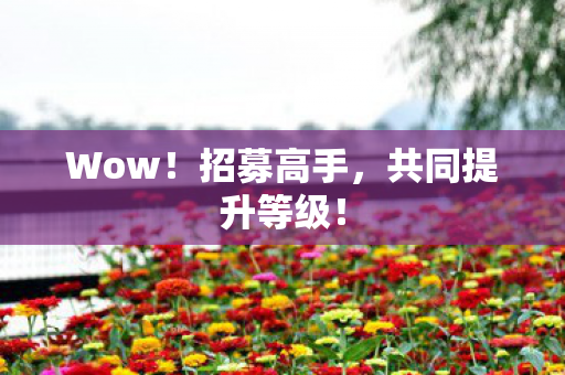 Wow!招募高手,共同提升等级! Wow!招募高手,共同提升等级!