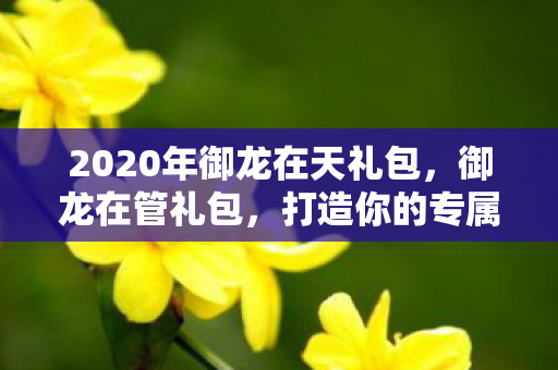 2020年御龙在天礼包,御龙在管礼包,打造你的专属游戏世界 2020年御龙在天礼包,御龙在管礼包,打造你的专属游戏世界