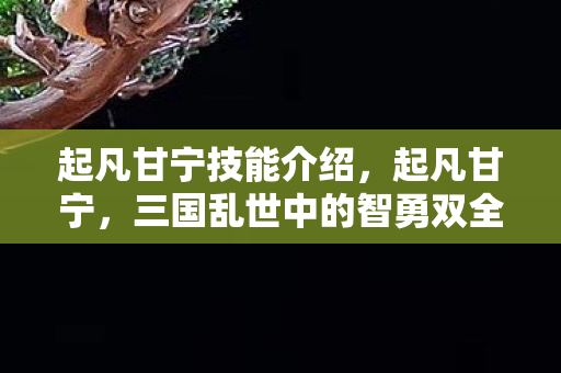 起凡甘宁技能介绍,起凡甘宁,三国乱世中的智勇双全 起凡甘宁技能介绍,起凡甘宁,三国乱世中的智勇双全