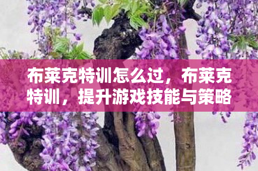 布莱克特训怎么过,布莱克特训,提升游戏技能与策略的深度指南 布莱克特训怎么过,布莱克特训,提升游戏技能与策略的深度指南