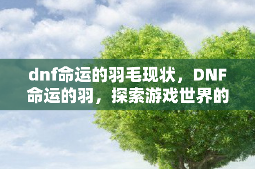 dnf命运的羽毛现状,DNF命运的羽,探索游戏世界的无限可能 dnf命运的羽毛现状,DNF命运的羽,探索游戏世界的无限可能
