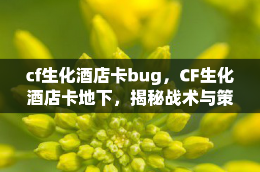 cf生化酒店卡bug,CF生化酒店卡地下,揭秘战术与策略 cf生化酒店卡bug,CF生化酒店卡地下,揭秘战术与策略