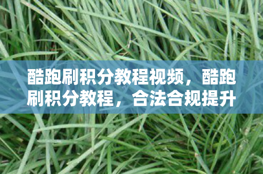 酷跑刷积分教程视频,酷跑刷积分教程,合法合规提升游戏积分 酷跑刷积分教程视频,酷跑刷积分教程,合法合规提升游戏积分