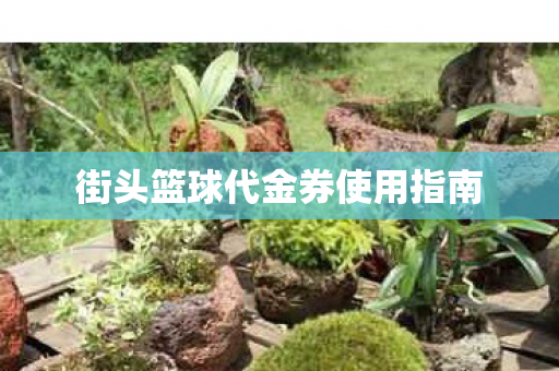 街头篮球代金券使用指南 街头篮球代金券使用指南