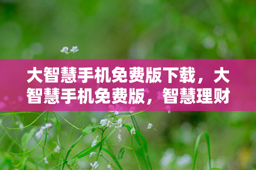 大智慧手机免费版下载,大智慧手机免费版,智慧理财,随时随地 大智慧手机免费版下载,大智慧手机免费版,智慧理财,随时随地