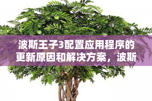 波斯王子3配置应用程序的更新原因和解决方案，波斯王子3，优化配置，畅享经典动作冒险