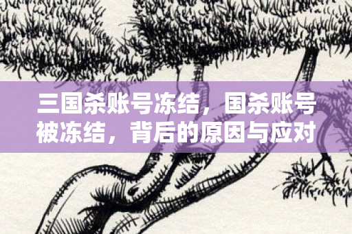 三国杀账号冻结,国杀账号被冻结,背后的原因与应对策略 三国杀账号冻结,国杀账号被冻结,背后的原因与应对策略