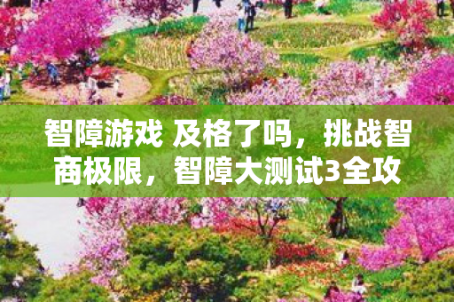 智障游戏 及格了吗,挑战智商极限,智障大测试3全攻略 智障游戏 及格了吗,挑战智商极限,智障大测试3全攻略