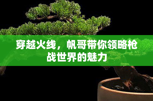 穿越火线,帆哥带你领略枪战世界的魅力 穿越火线,帆哥带你领略枪战世界的魅力