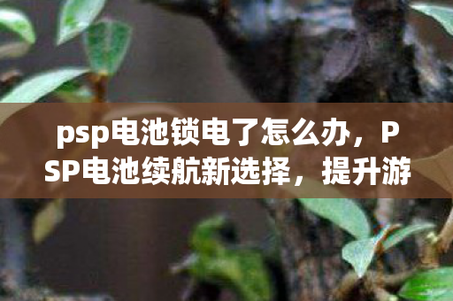 psp电池锁电了怎么办,PSP电池续航新选择,提升游戏体验的关键一步 psp电池锁电了怎么办,PSP电池续航新选择,提升游戏体验的关键一步