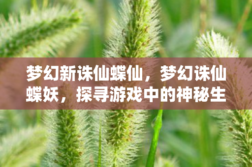 梦幻新诛仙蝶仙,梦幻诛仙蝶妖,探寻游戏中的神秘生物 梦幻新诛仙蝶仙,梦幻诛仙蝶妖,探寻游戏中的神秘生物