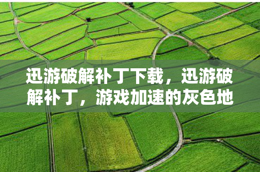 迅游破解补丁下载,迅游破解补丁,游戏加速的灰色地带 迅游破解补丁下载,迅游破解补丁,游戏加速的灰色地带
