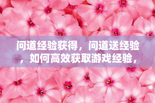 问道经验获得,问道送经验,如何高效获取游戏经验,提升等级? 问道经验获得,问道送经验,如何高效获取游戏经验,提升等级?