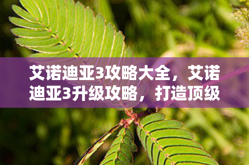 艾诺迪亚3攻略大全,艾诺迪亚3升级攻略,打造顶级角色的必经之路 艾诺迪亚3攻略大全,艾诺迪亚3升级攻略,打造顶级角色的必经之路