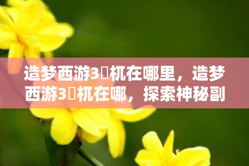 造梦西游3梼杌在哪里,造梦西游3梼杌在哪,探索神秘副本的旅程 造梦西游3梼杌在哪里,造梦西游3梼杌在哪,探索神秘副本的旅程