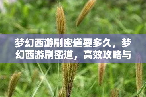 梦幻西游刷密道要多久，梦幻西游刷密道，高效攻略与心得分享