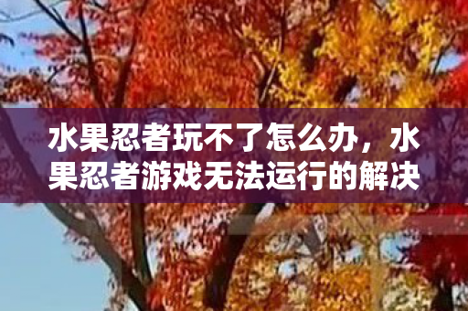 水果忍者玩不了怎么办，水果忍者游戏无法运行的解决方案