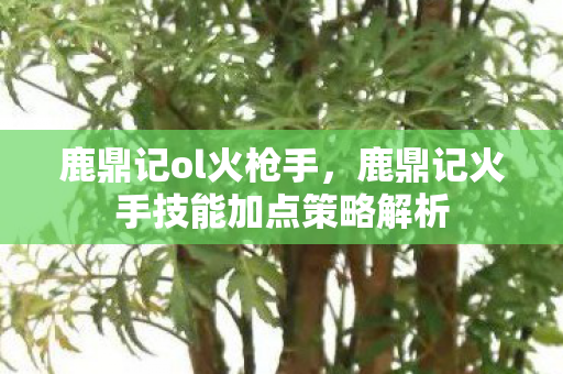 鹿鼎记ol火枪手,鹿鼎记火手技能加点策略解析 鹿鼎记ol火枪手,鹿鼎记火手技能加点策略解析