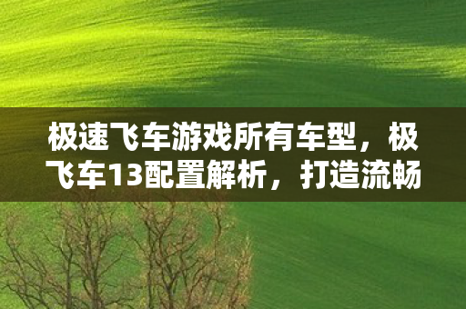 极速飞车游戏所有车型,极飞车13配置解析,打造流畅游戏体验 极速飞车游戏所有车型,极飞车13配置解析,打造流畅游戏体验