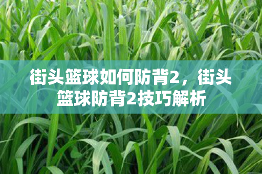 街头篮球如何防背2，街头篮球防背2技巧解析