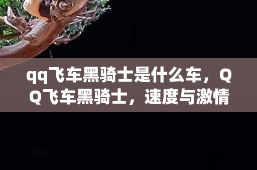 qq飞车黑骑士是什么车，QQ飞车黑骑士，速度与激情的终极体验