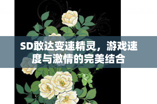 SD敢达变速精灵，游戏速度与激情的完美结合