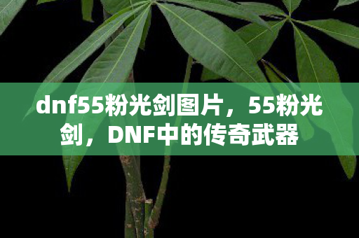 dnf55粉光剑图片,55粉光剑,DNF中的传奇武器 dnf55粉光剑图片,55粉光剑,DNF中的传奇武器